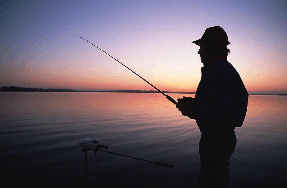 魚在水面上游怎么釣魚(魚在水面上怎么能釣到魚)