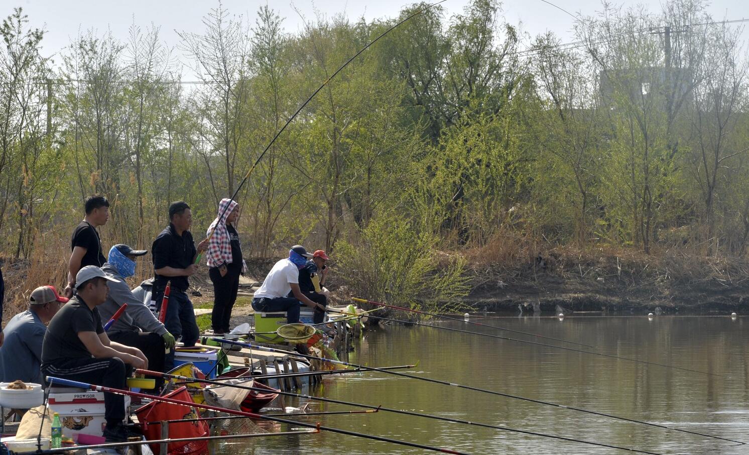 魚塘釣魚怎么選位子圖解(魚塘釣魚怎么選位置)